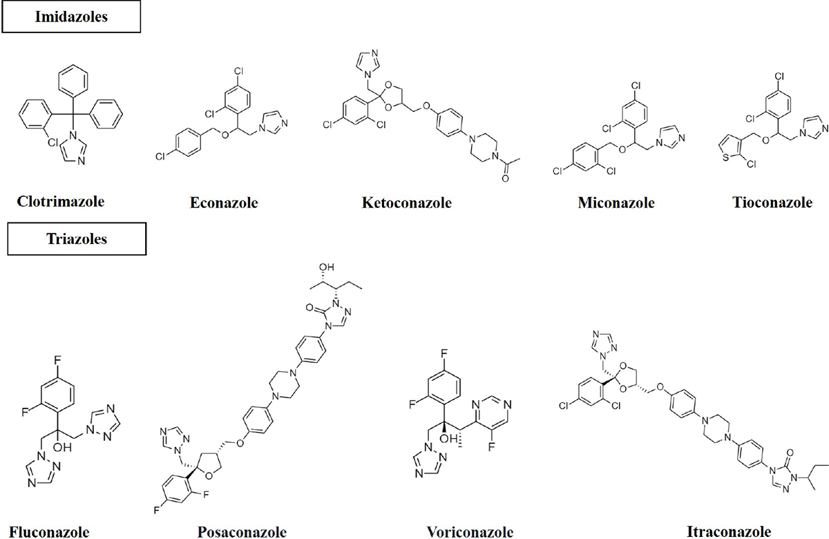 IMIDAZOLE: SYNTHESIS, PROPERTIES AND BIOLOGICAL ACTIVITY | PharmaTutor